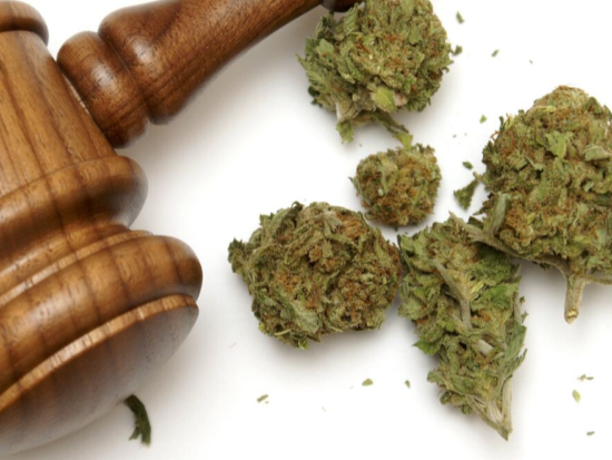 cannabis gavel