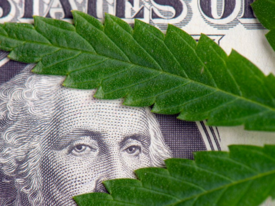 cannabis money Image